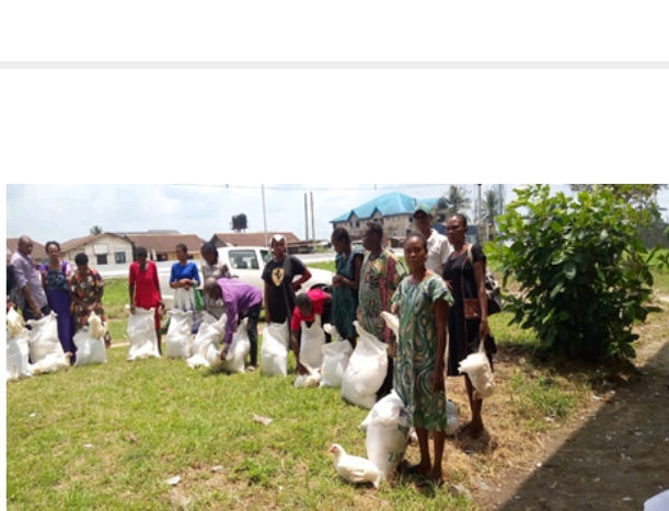 Household Economic Strengthening